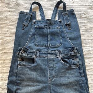 Free People Skinny Indigo Stretch Overalls